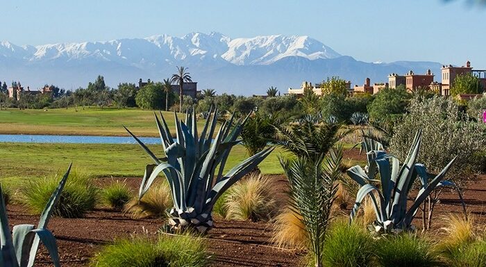 Samanah Golf Club, Atlasgebirge, Golfplatz, Marokko, Grün, Pflanzen