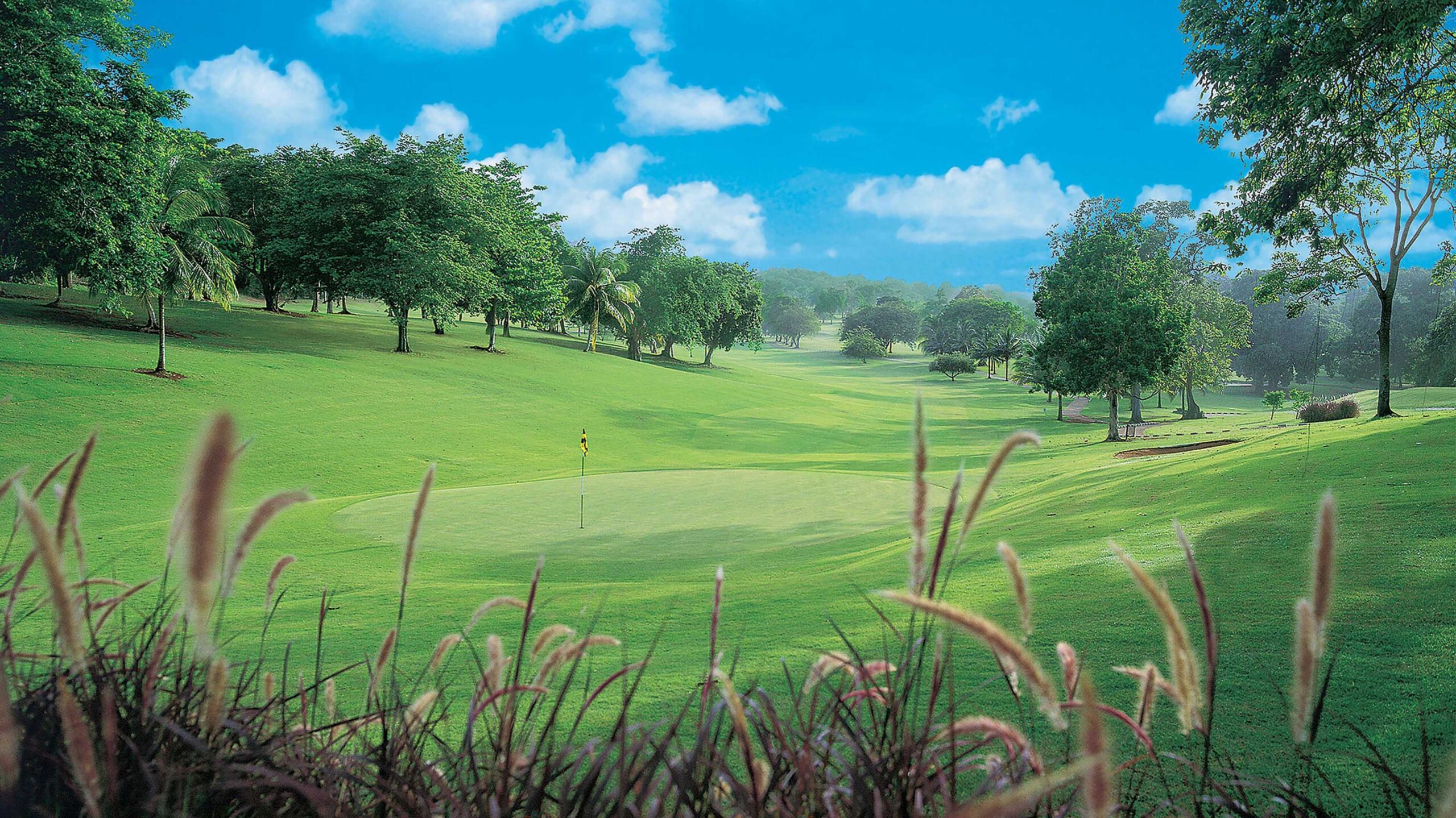 Jamaika_Golfplatz_mit_Graesern