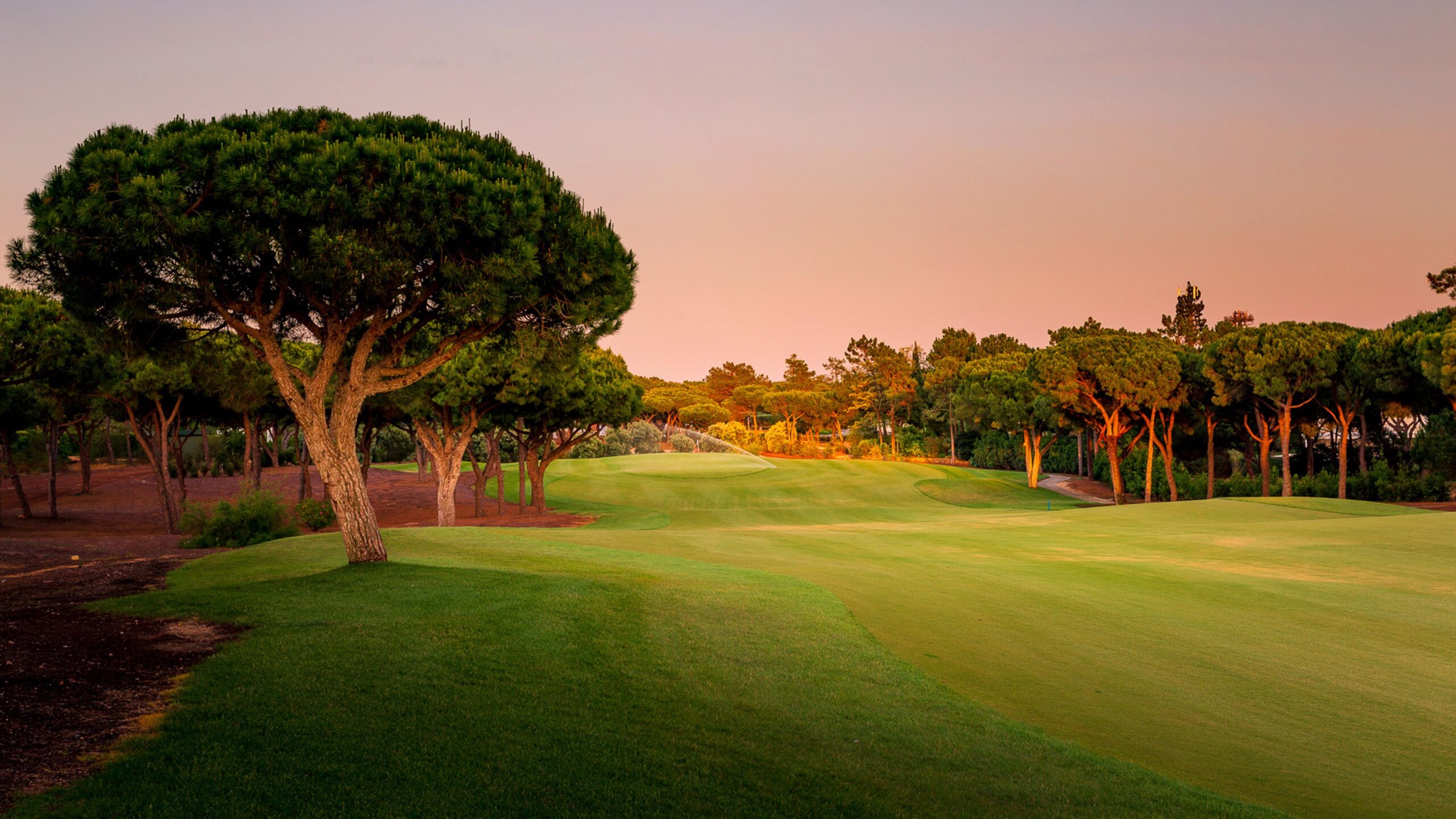 Golfplatz_Abendstimmung