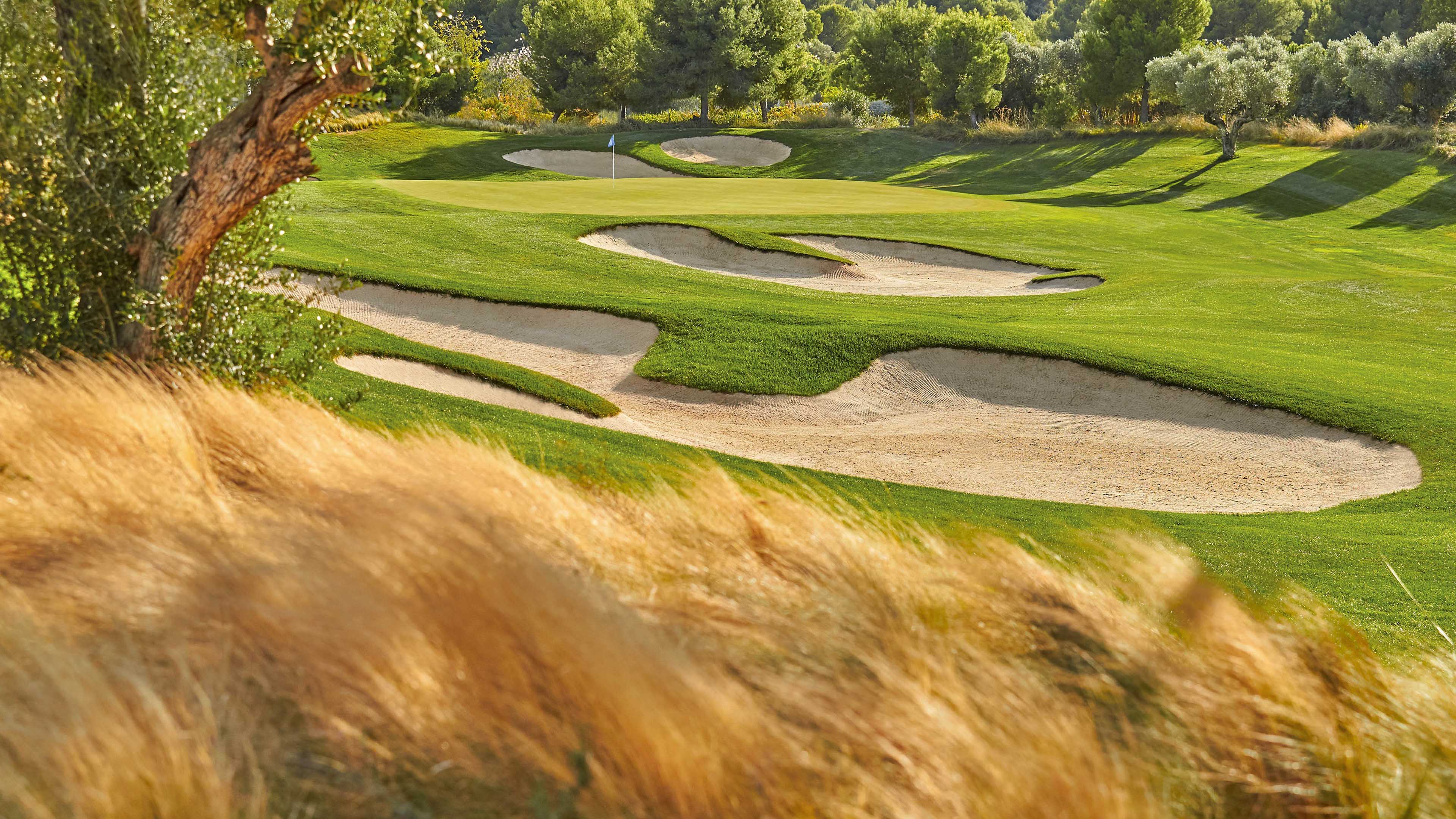 Golfplatz_Gräser_im_Wind