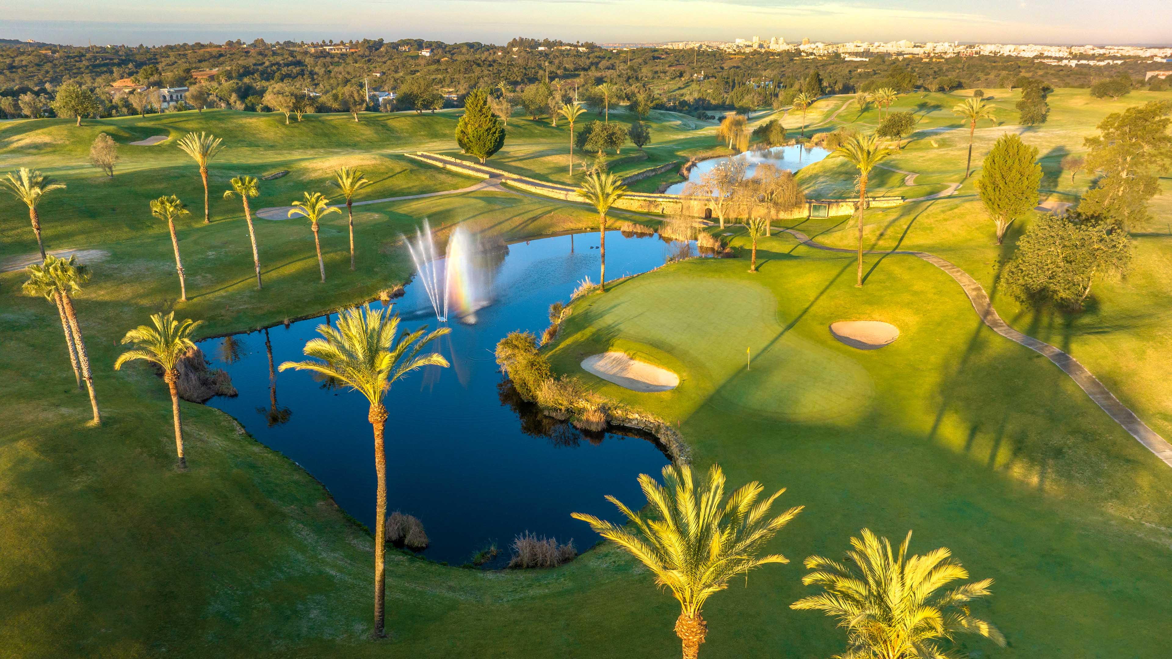 Pestana Gramacho Golf_Palmen