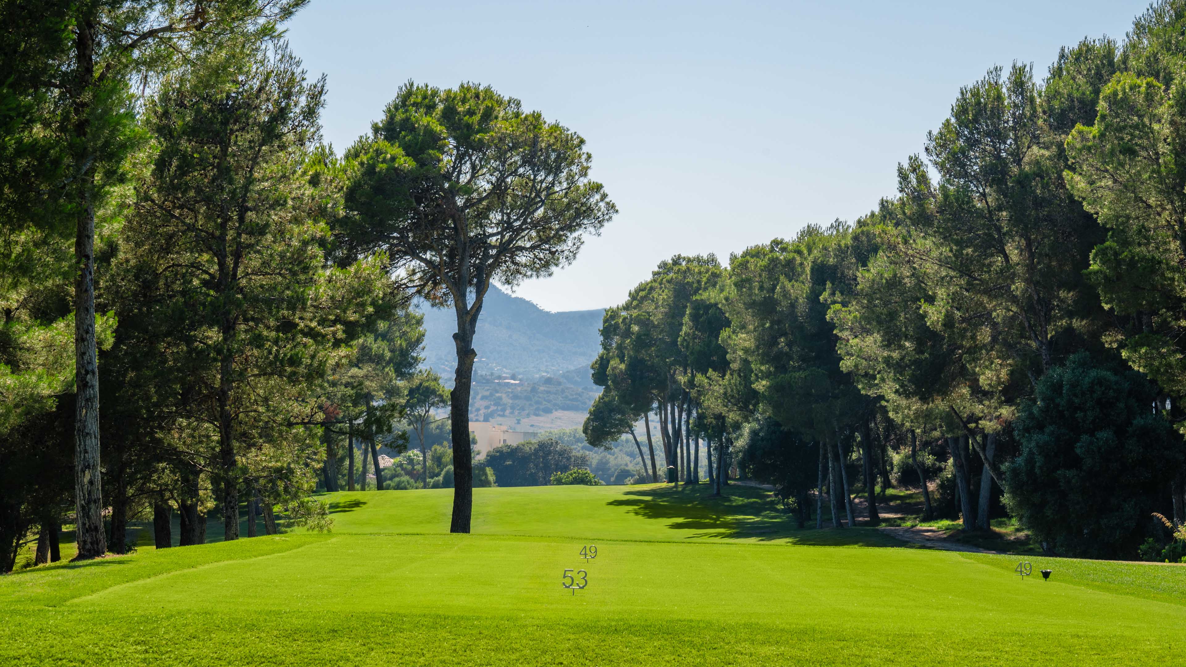 Mallorca-Golf Son Servera_Green