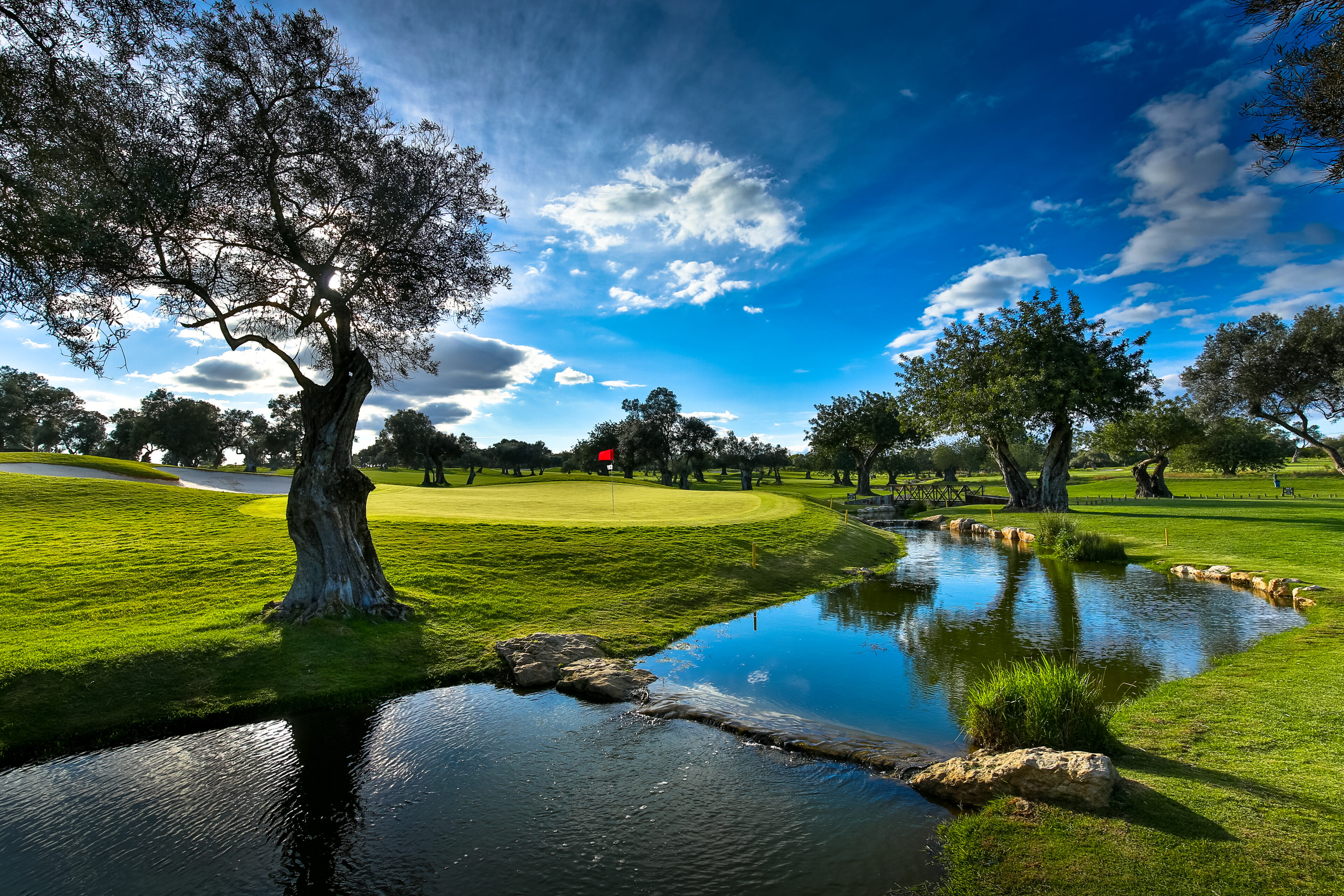 Quinta de Cima