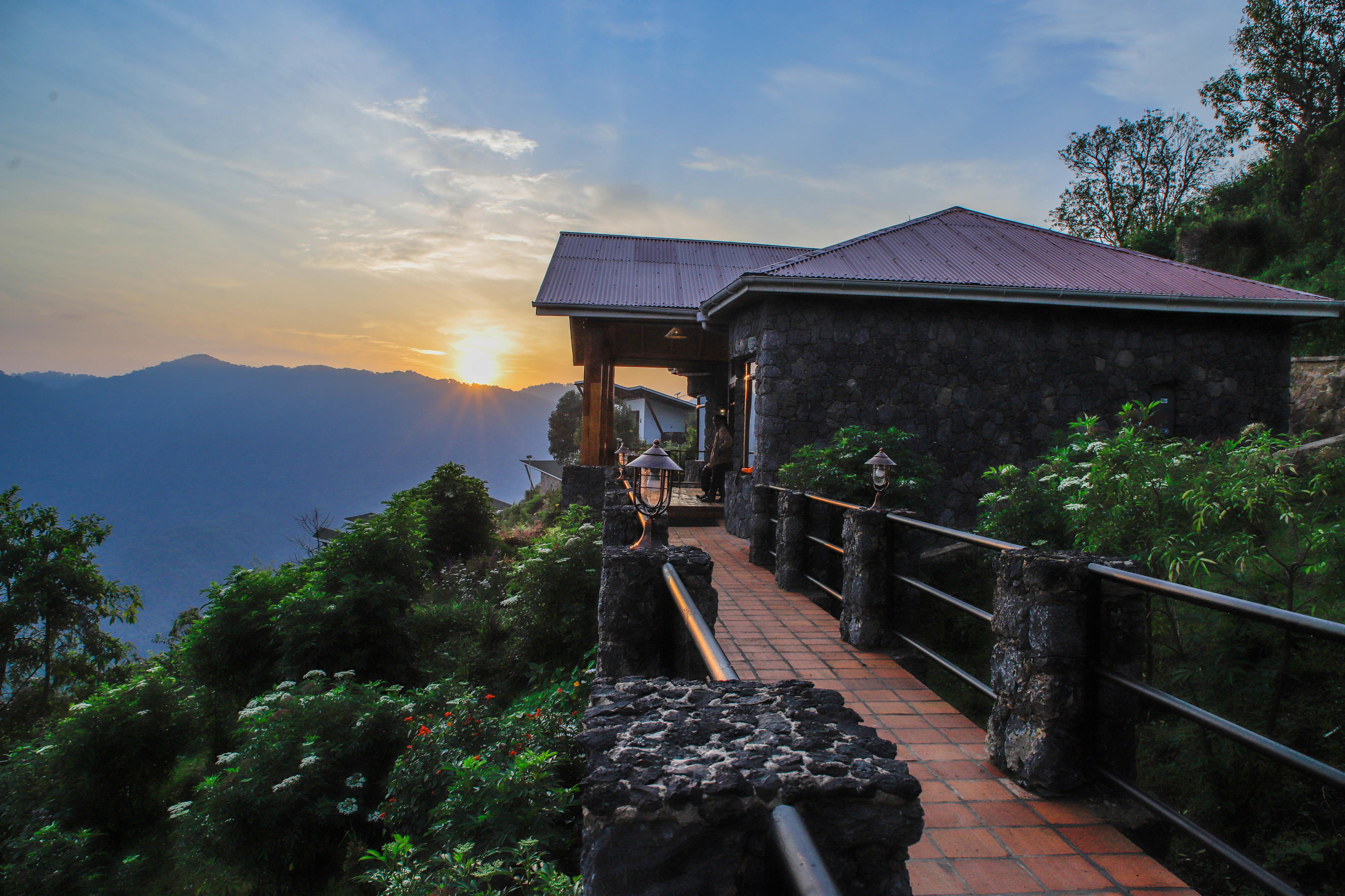 Sunrise over the forest suite