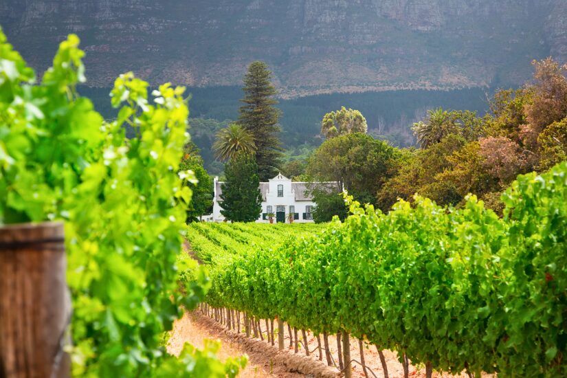 Winelands von Stellenbosch