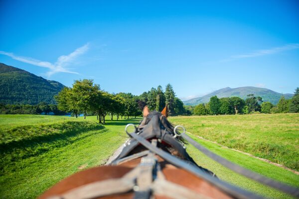 Killarney Jaunting Cars