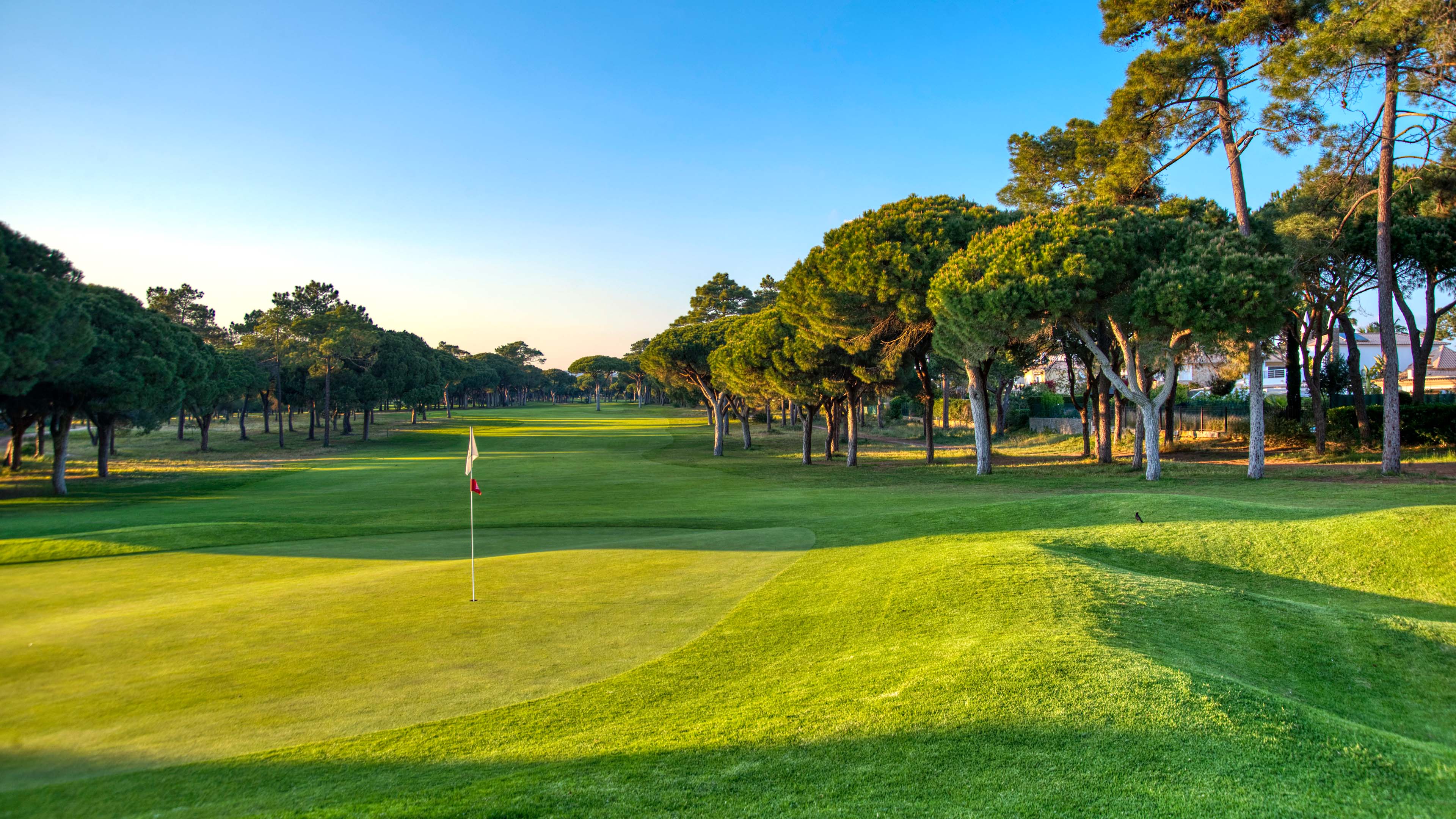 Vilamoura Golf - Pinhal_Loch 3