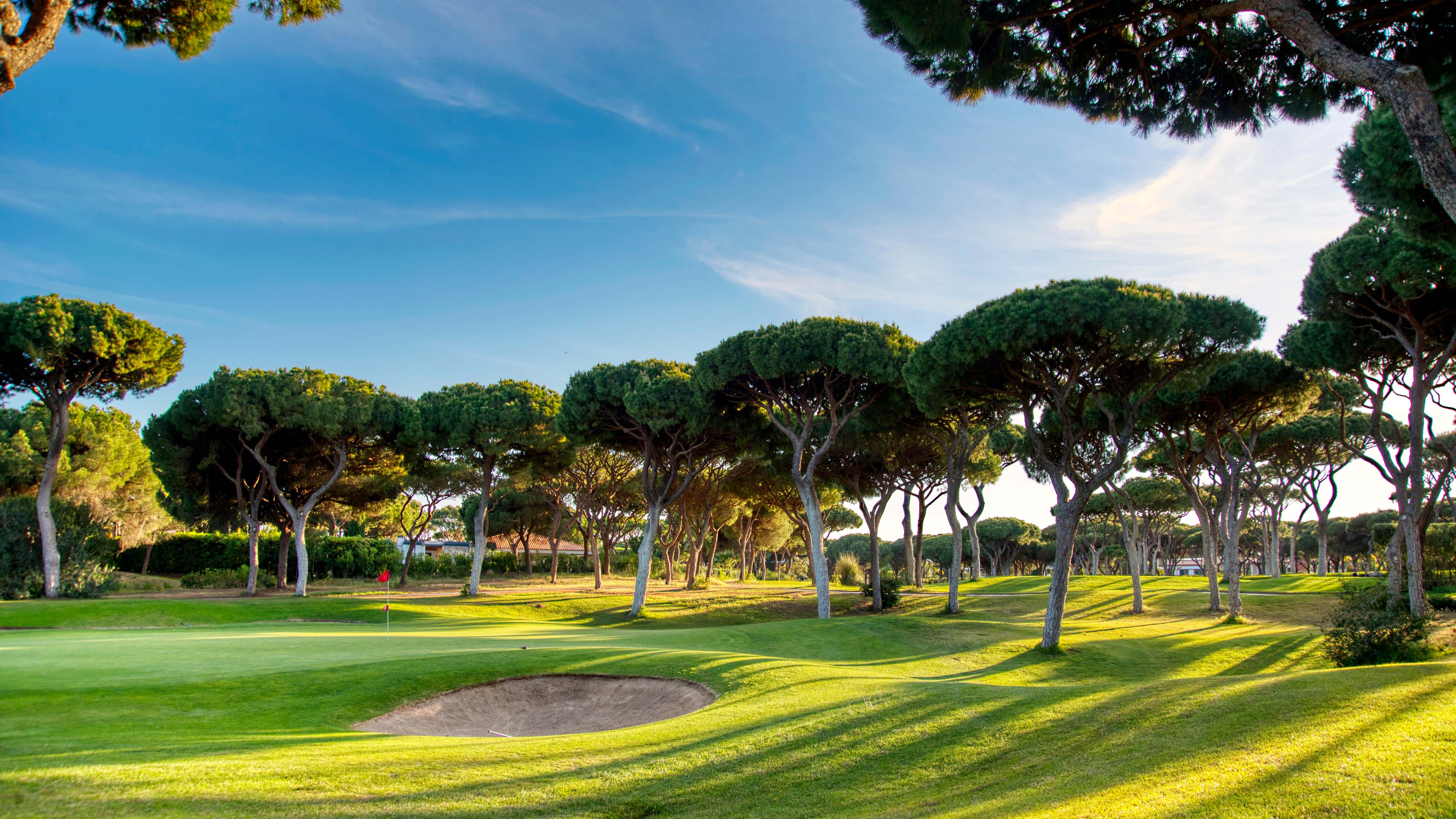 Vilamoura Golf - Millennium_Bäume