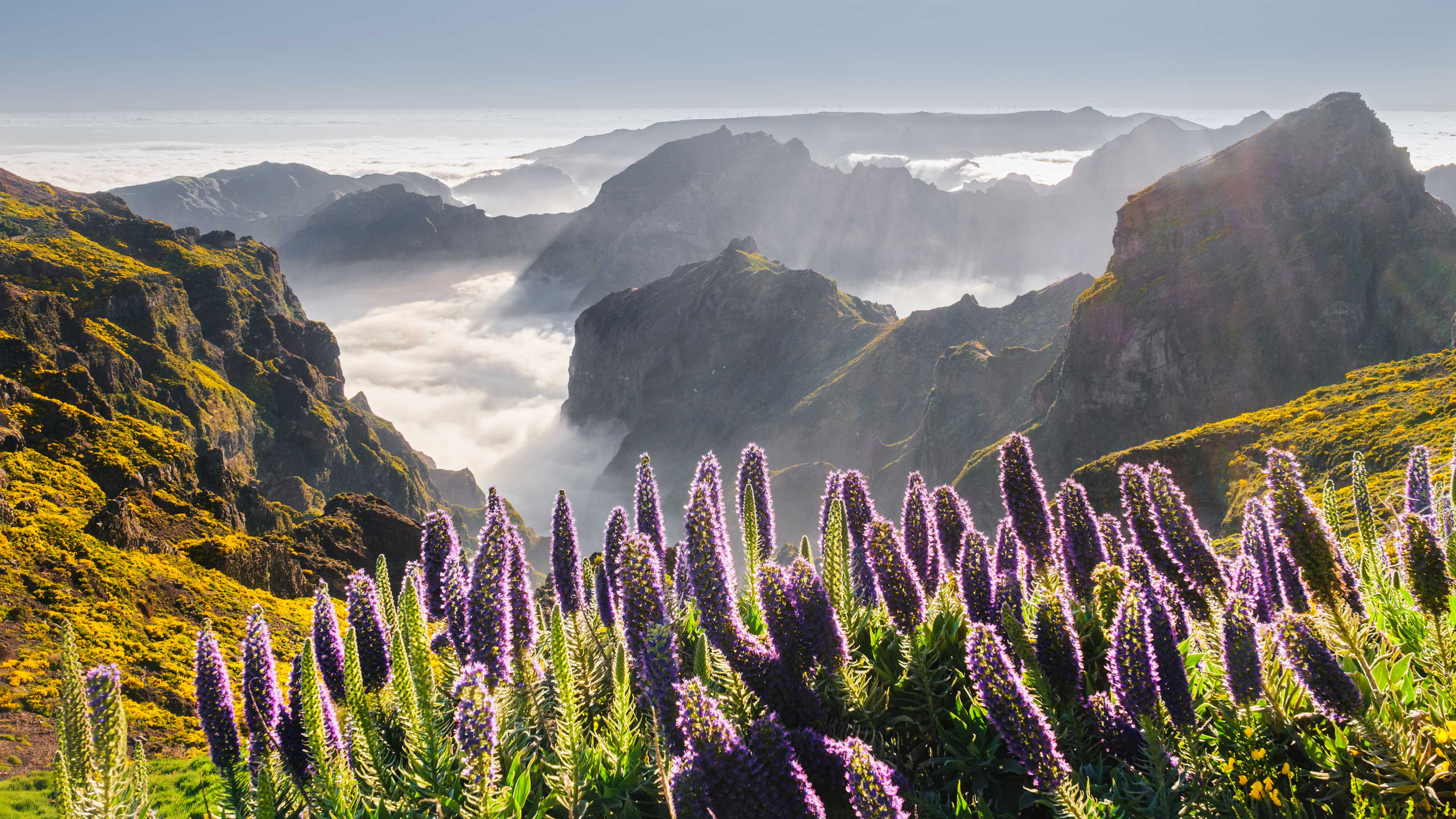 portugal madeira homepage slider