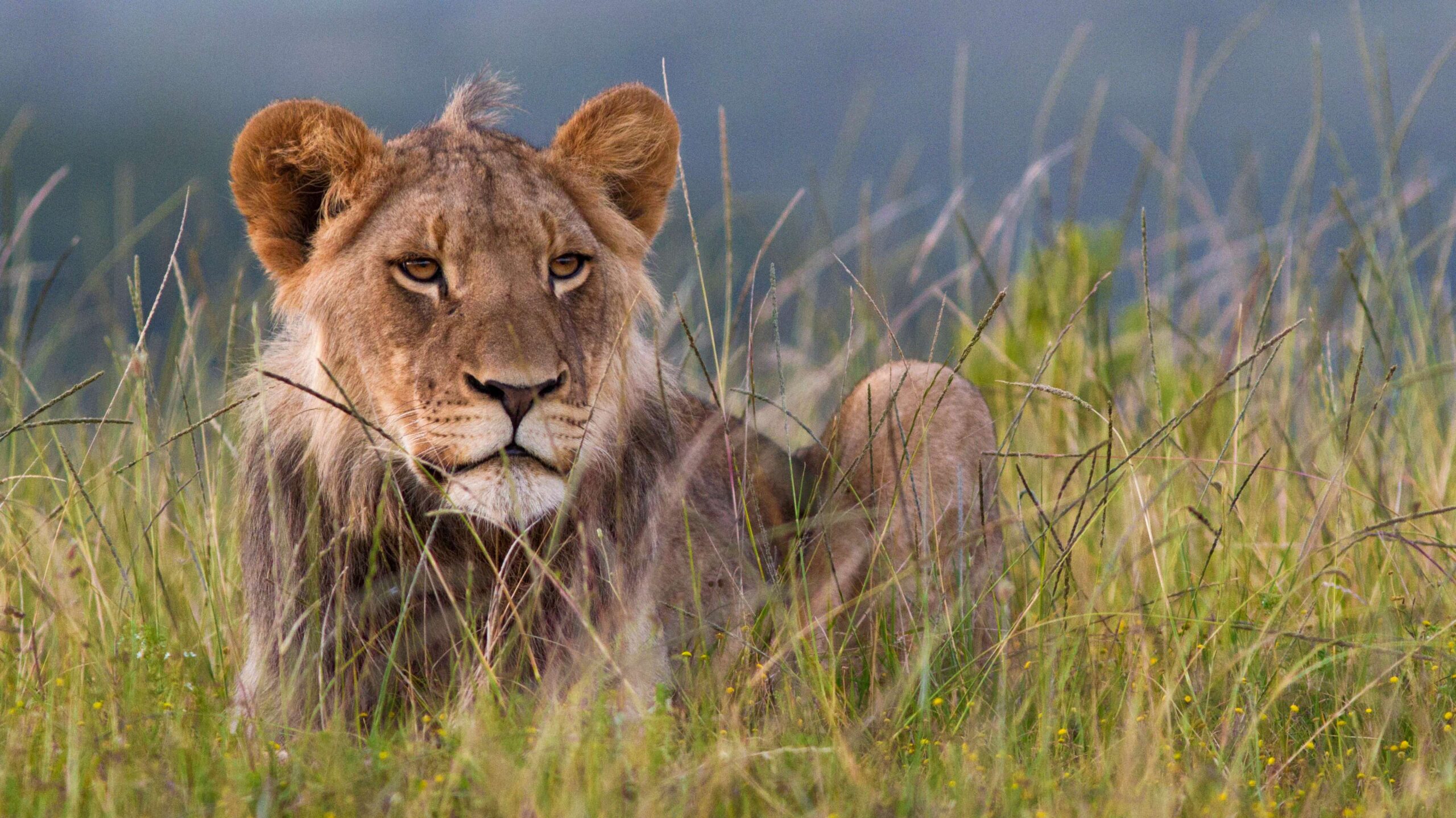 Golfrundreisen Südafrika