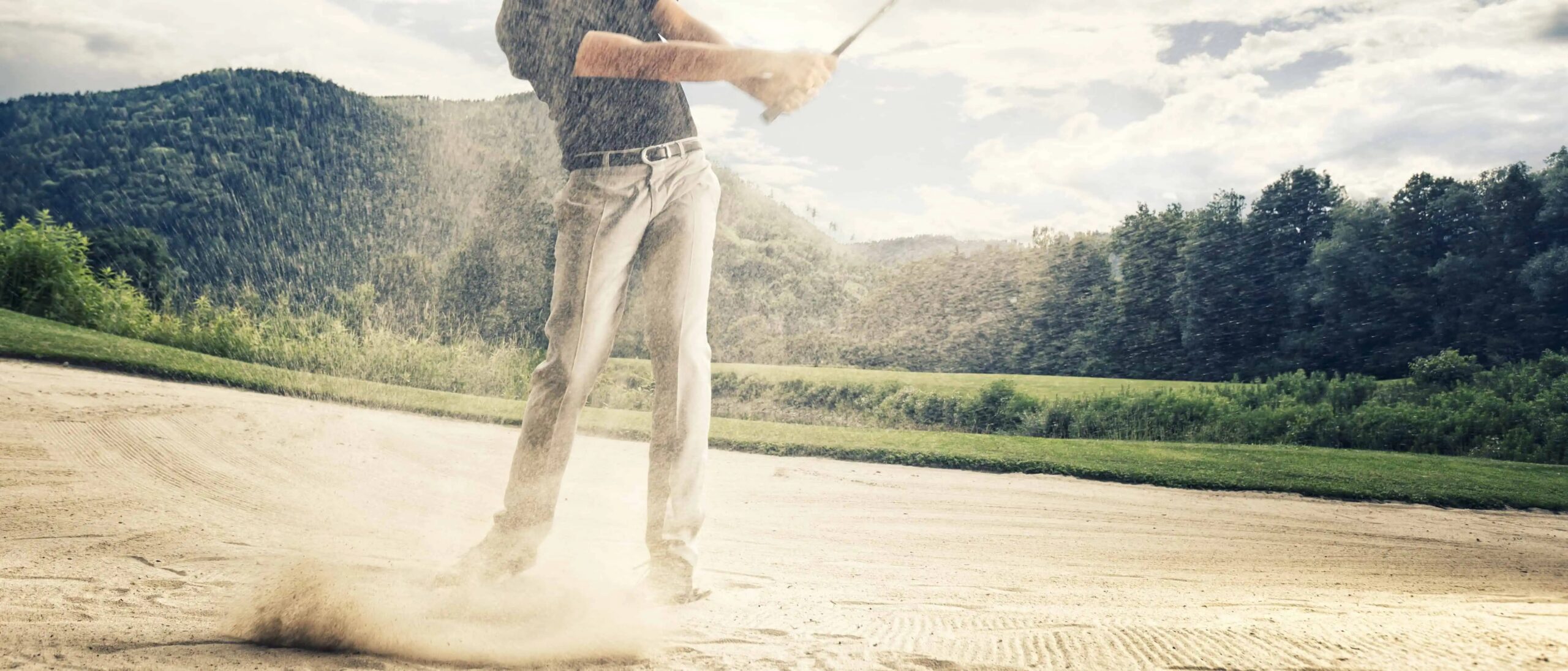 Golf Globe Professional