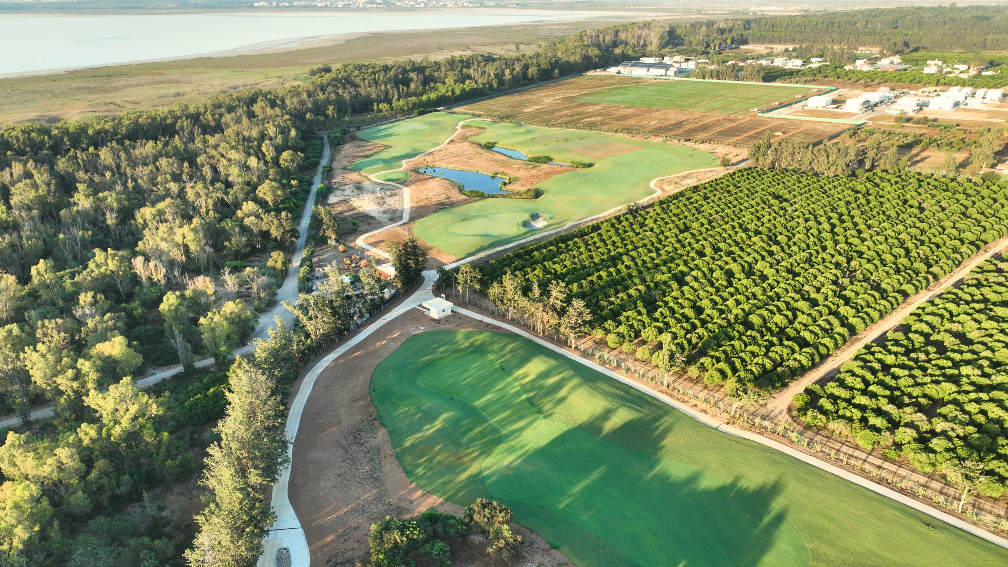 Limassol Greens_Loch4-6