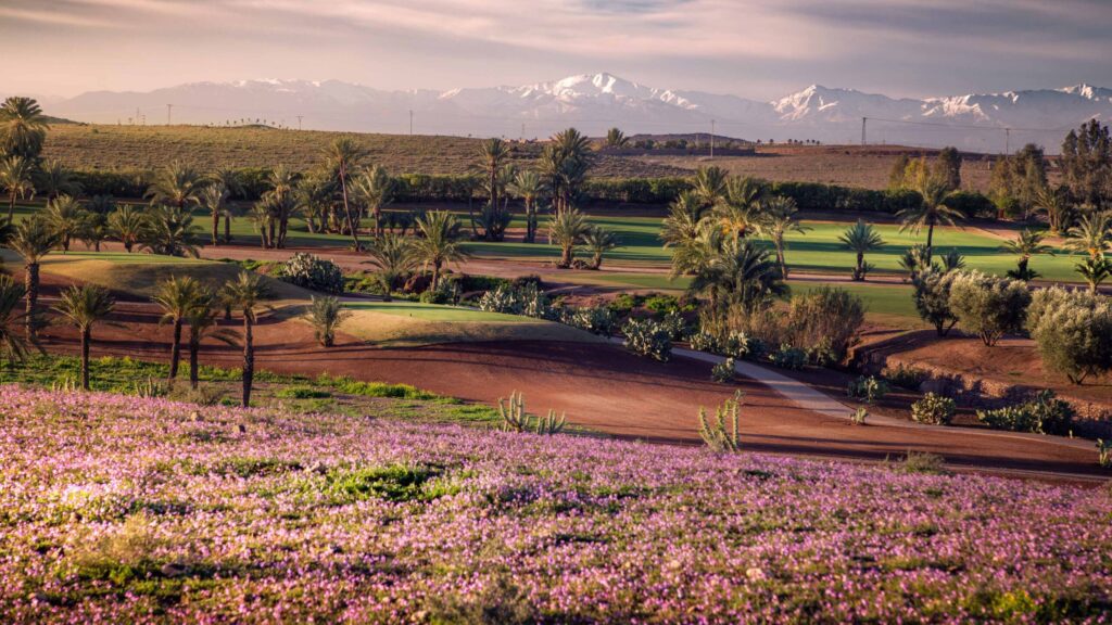  Assoufid Golf