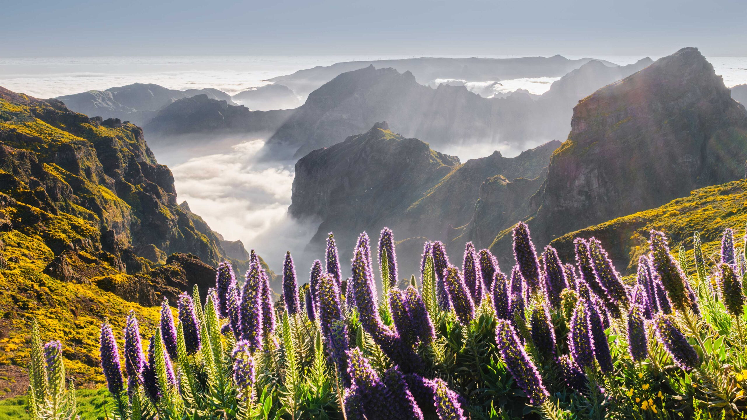 Madeira Berge