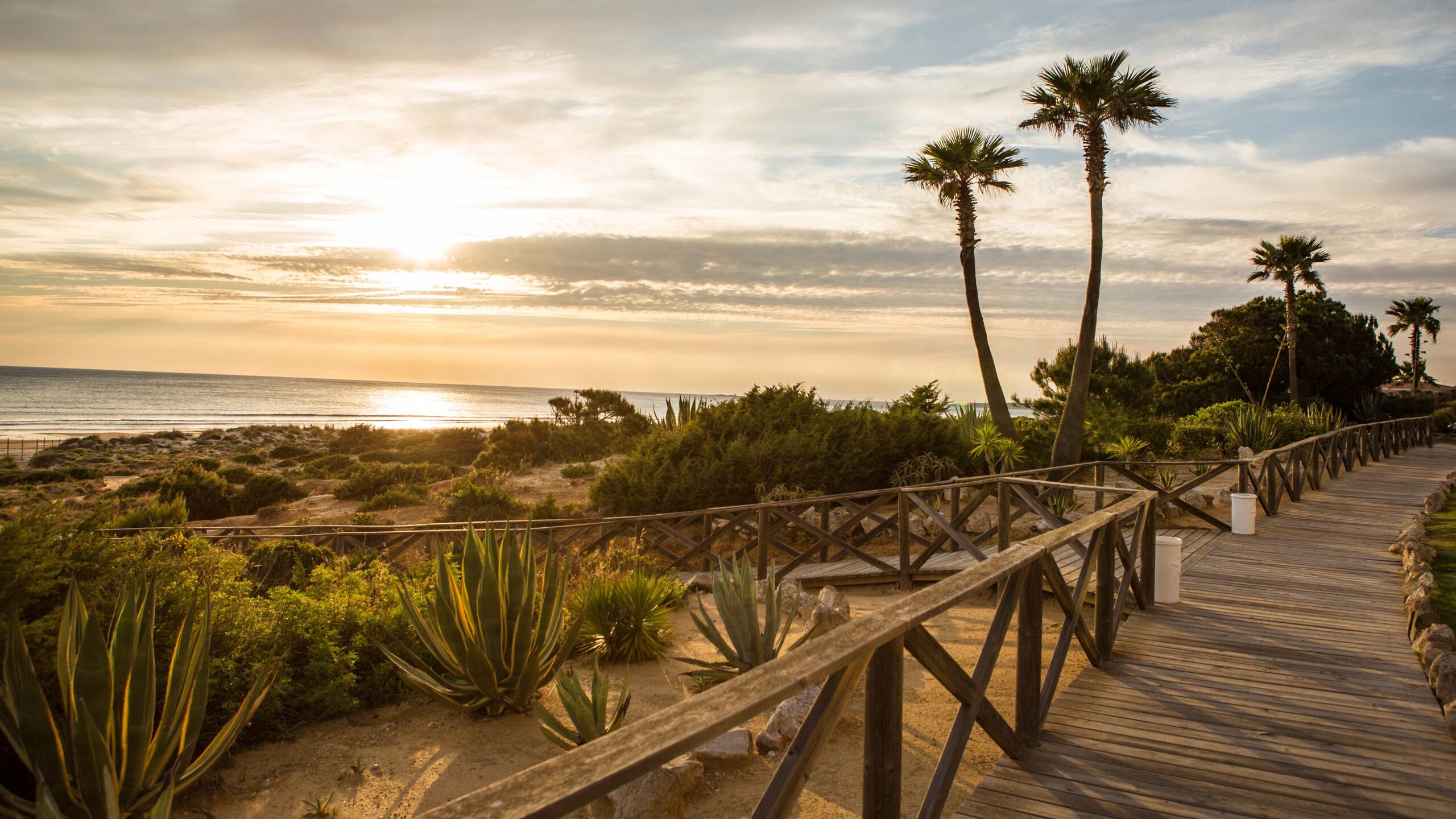 Iberostar Waves Royal Andalus