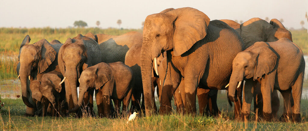 Golfrundreisen Südafrika